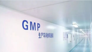 GMP 车间通道